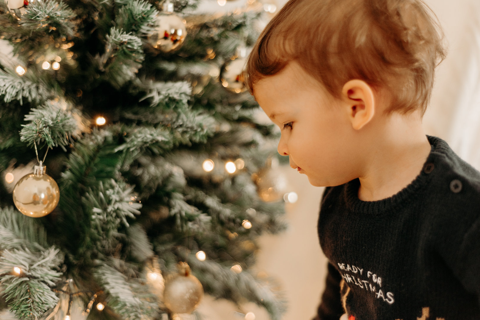 Natale - Foto 71